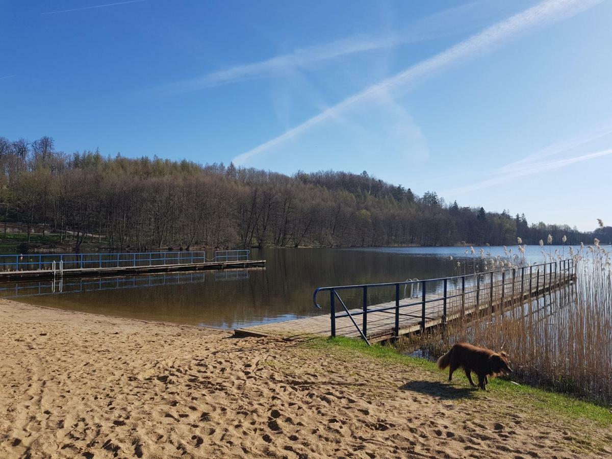 Gosciniec Przywidzki Bed & Breakfast Przywidz  Bagian luar foto